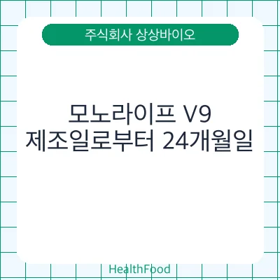 모노라이프 V9