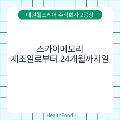 스카이메모리