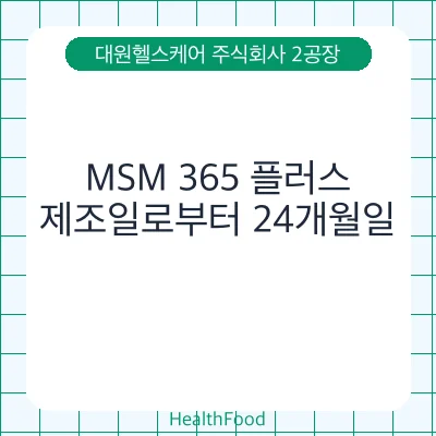 MSM 365 플러스