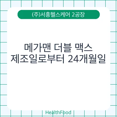 메가맨 더블 맥스