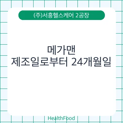 메가맨