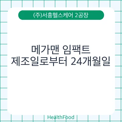 메가맨 임팩트