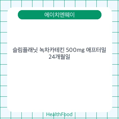 슬림플래닛 녹차카테킨 500mg 애프터밀