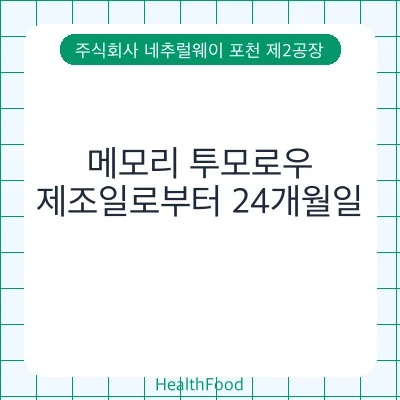 메모리 투모로우