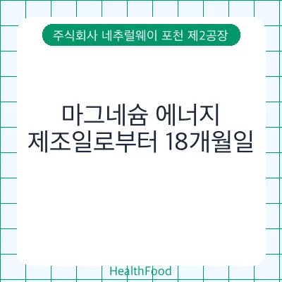 마그네슘 에너지