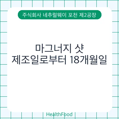 마그너지 샷