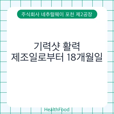 기력샷 활력