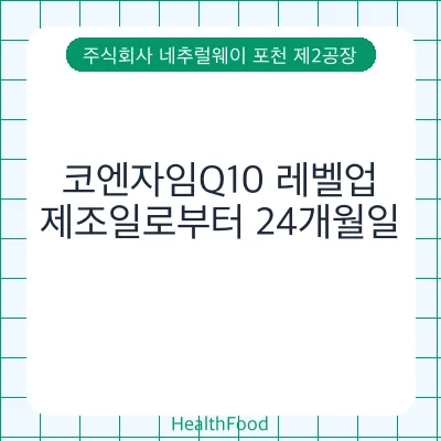 코엔자임Q10 레벨업