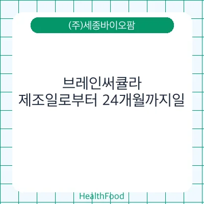 브레인써큘라