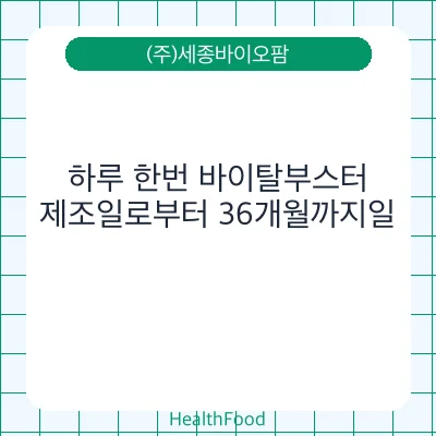 하루 한번 바이탈부스터