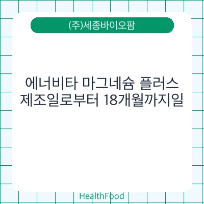 에너비타 마그네슘 플러스