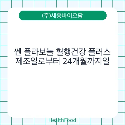 쎈 플라보놀 혈행건강 플러스
