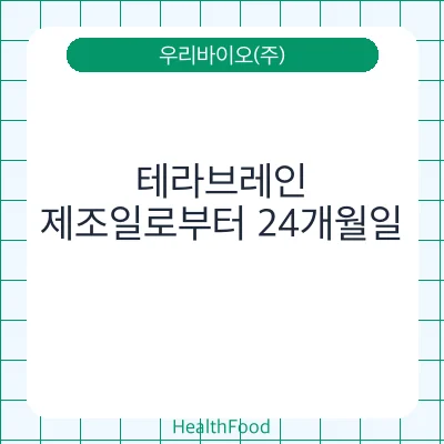테라브레인