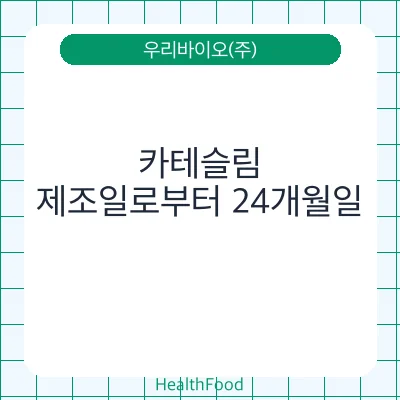 카테슬림