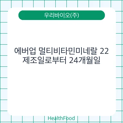에버업 멀티비타민미네랄 22