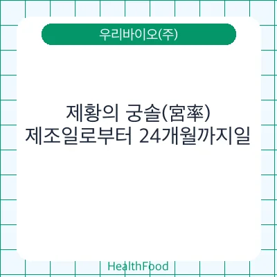 제황의 궁솔(宮率)