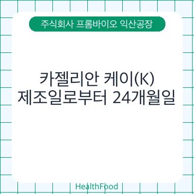 카젤리안 케이(K)