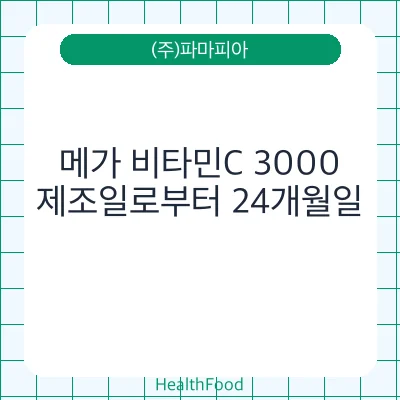 메가 비타민C 3000