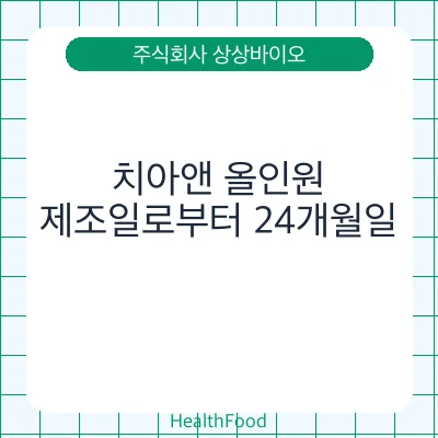 치아앤 올인원