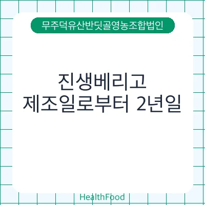 진생베리고