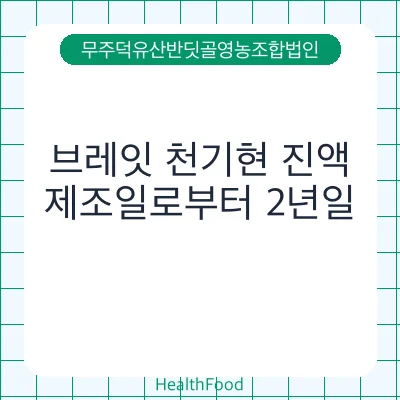 브레잇 천기현 진액