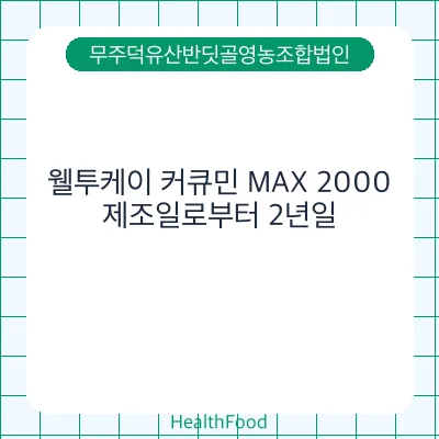 웰투케이 커큐민 MAX 2000