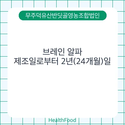 브레인 알파