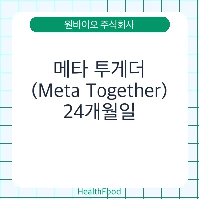 메타 투게더(Meta Together)
