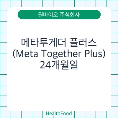 메타투게더 플러스(Meta Together Plus)