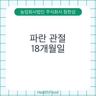 파란 관절