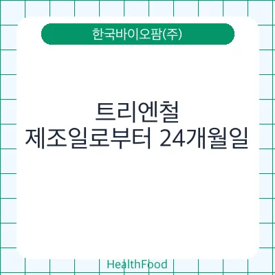 트리엔철