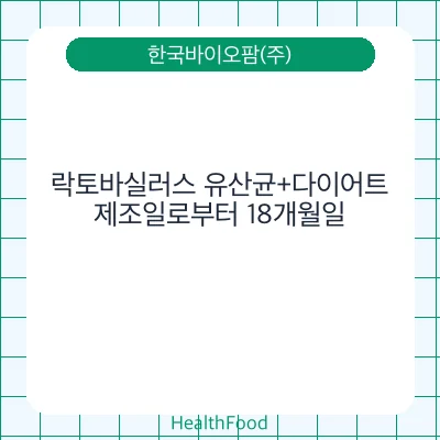 락토바실러스 유산균+다이어트