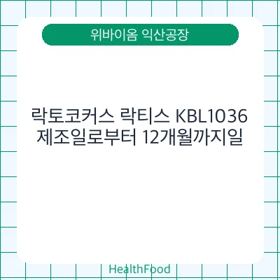 락토코커스 락티스 KBL1036