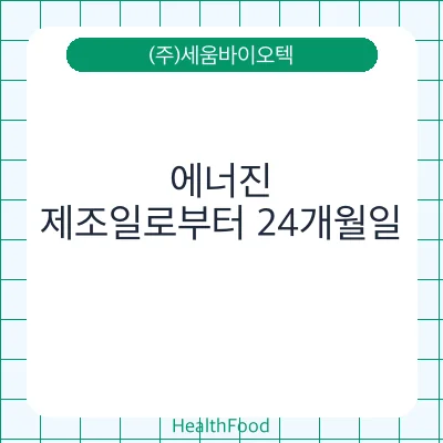 에너진
