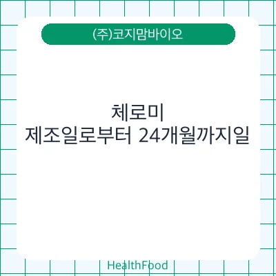 체로미