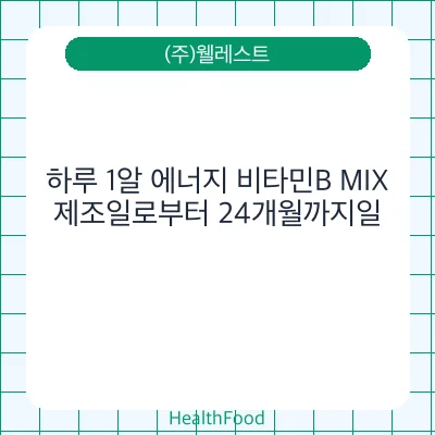 하루 1알 에너지 비타민B MIX