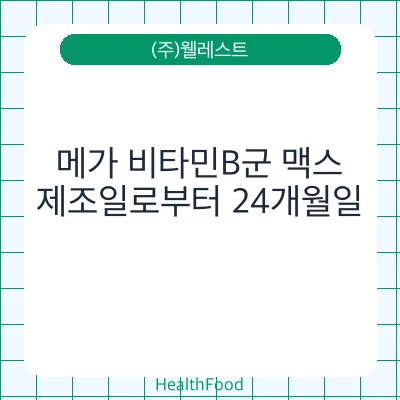 메가 비타민B군 맥스