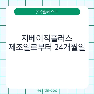 지베이직플러스
