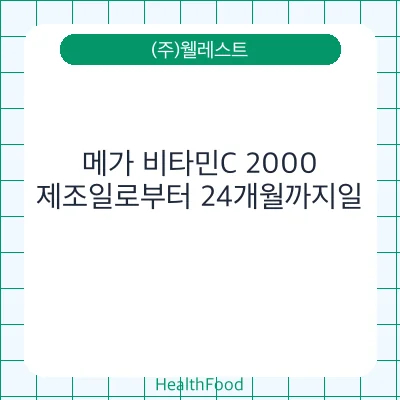 메가 비타민C 2000