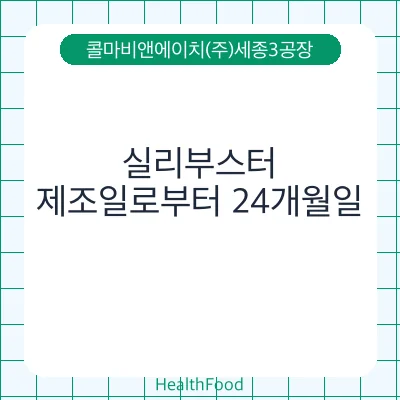 실리부스터