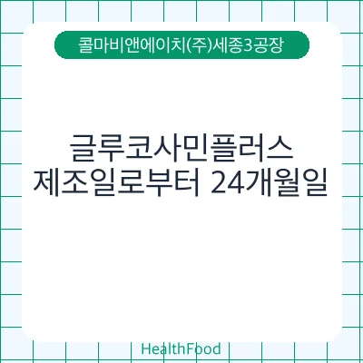 글루코사민플러스
