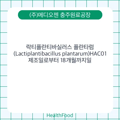 락티플란티바실러스 플란타럼(Lactiplantibacillus plantarum)HAC01